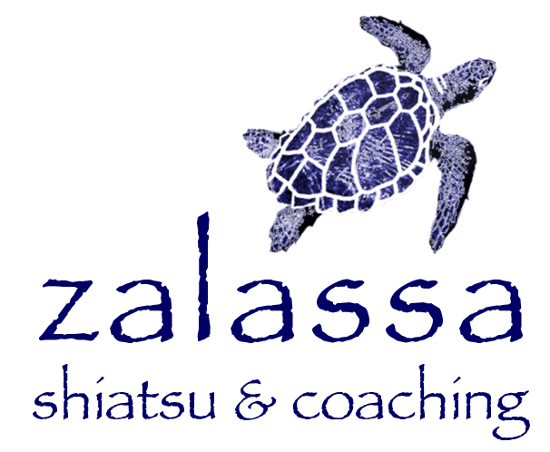 Logo zalassa shiatsu & coaching in der Schule für Shiatsu Hamburg Maria Jakobi