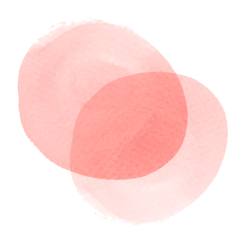 Logo  Stefan Schönegg