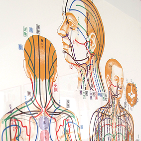 Logo Praxis für Shiatsu, Akupunktur & Yoga Maria Anna Söllner